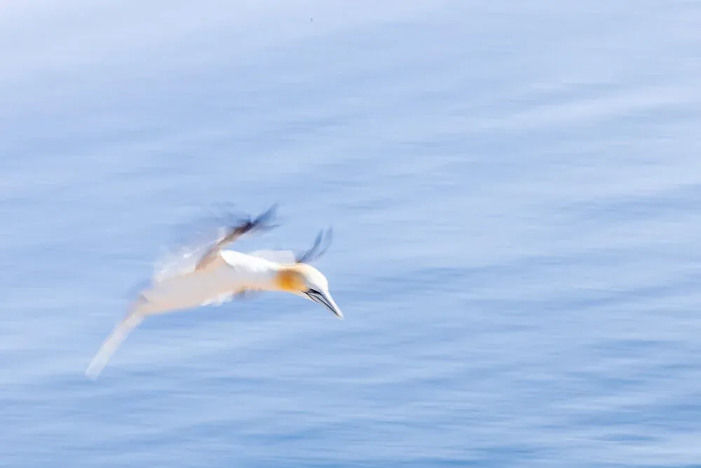 Fotoworkshop Helgoland im Juni